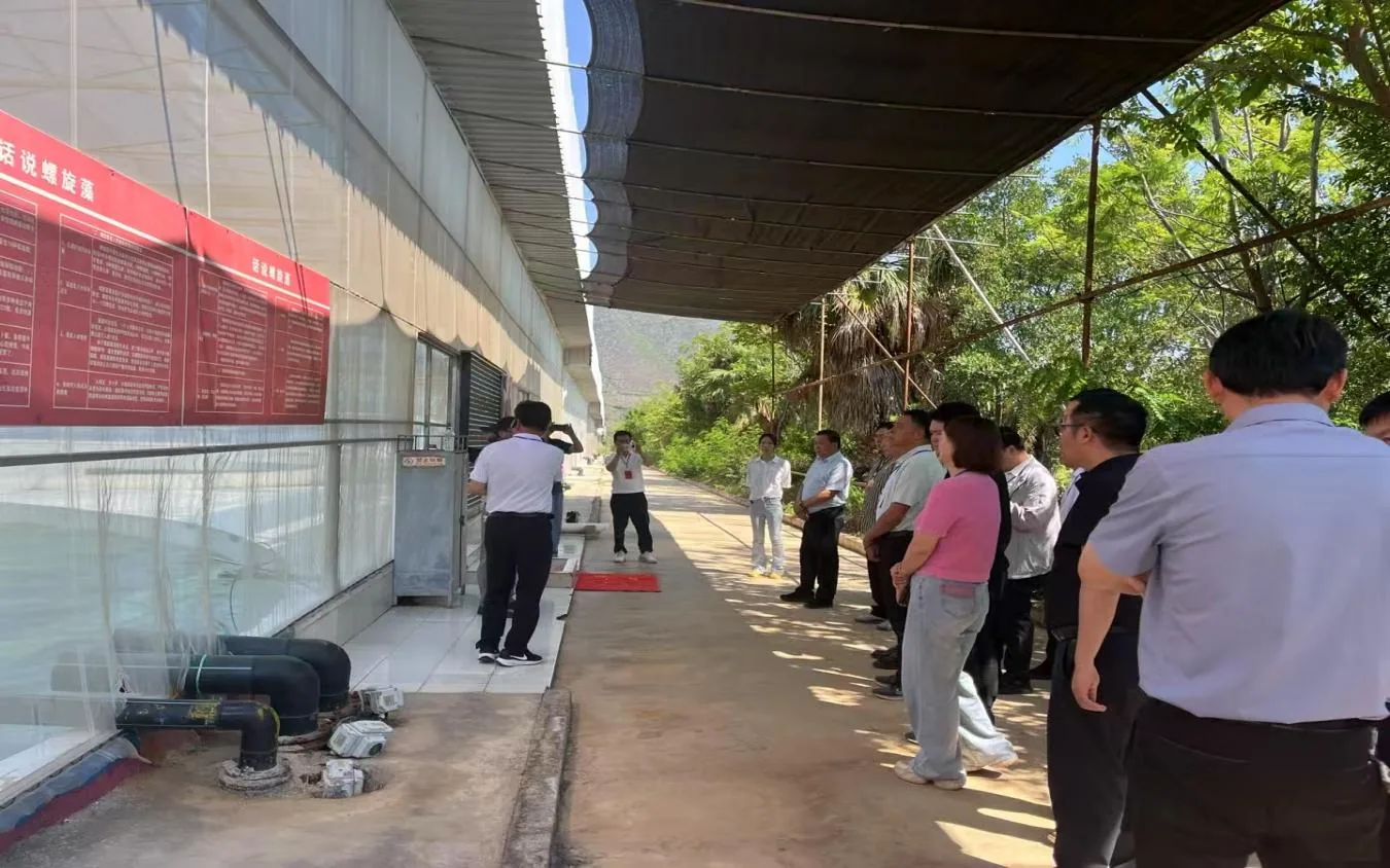 引领双拥(云南)投资集团到丽江西促会永胜辖区会员单位调研暨展开合作交流原文配图