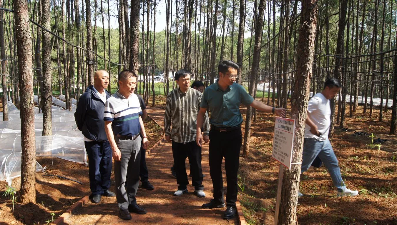 引领双拥(云南)投资集团到丽江西促会永胜辖区会员单位调研暨展开合作交流原文配图