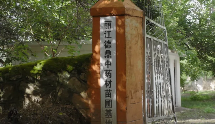 丽江西促会赴德鼎农业助力生态农业与乡村融合发展考察调研工作简报原文配图