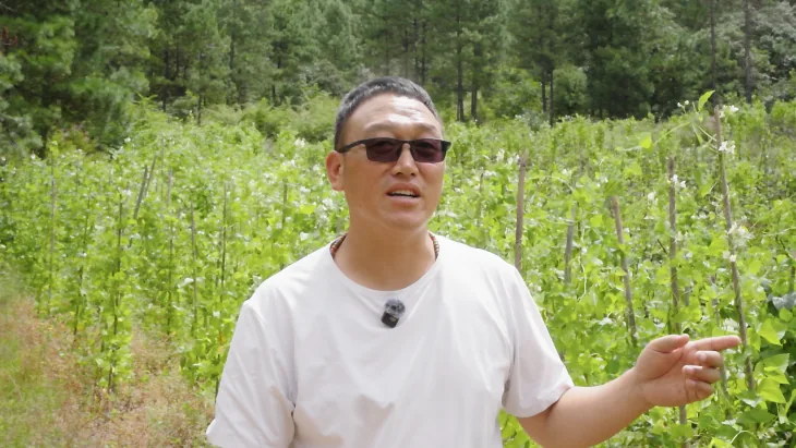 丽江西促会赴德鼎农业助力生态农业与乡村融合发展考察调研工作简报原文配图
