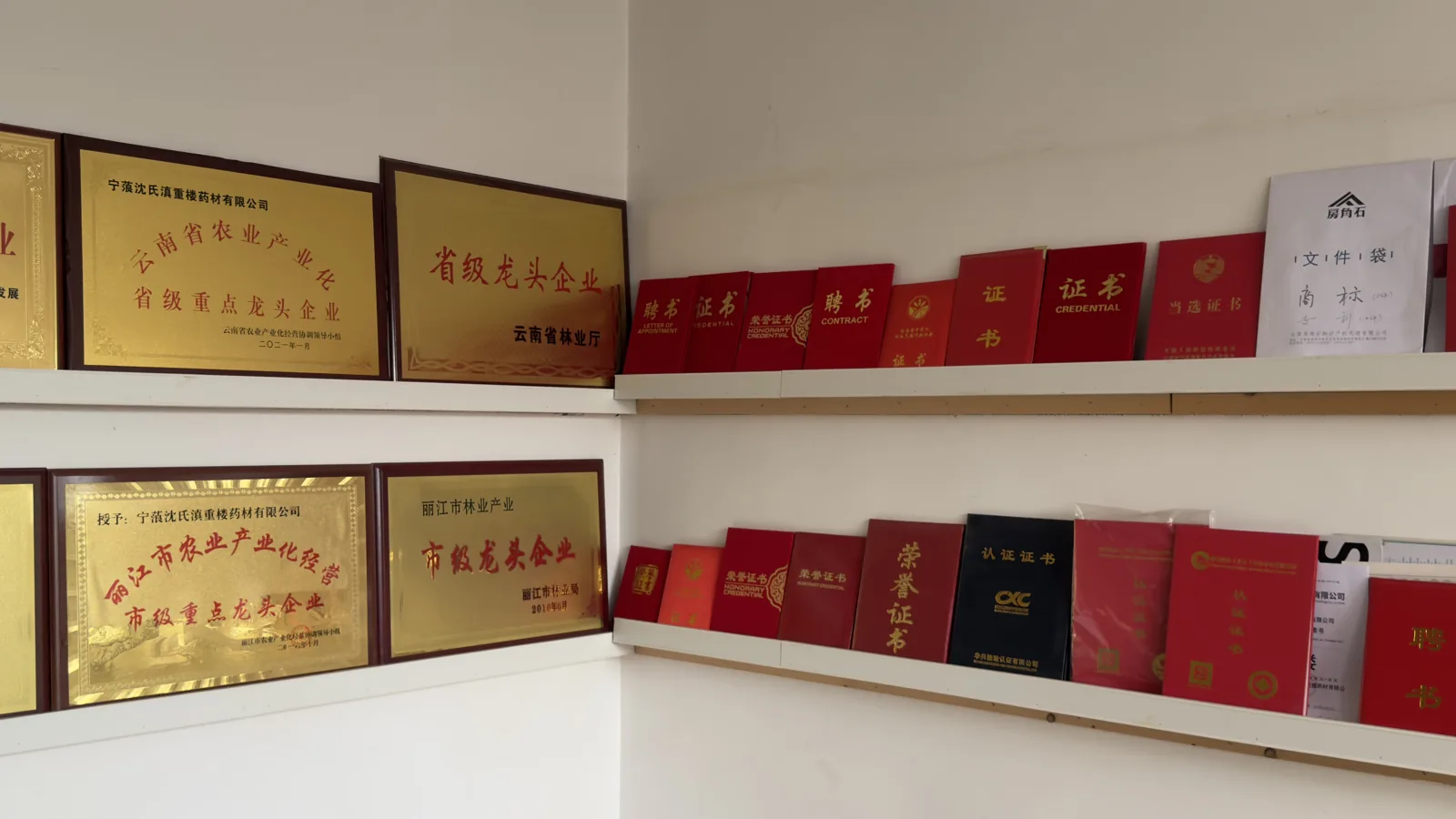 西促会赴宁蒗沈氏滇重楼药材有限公司原文配图