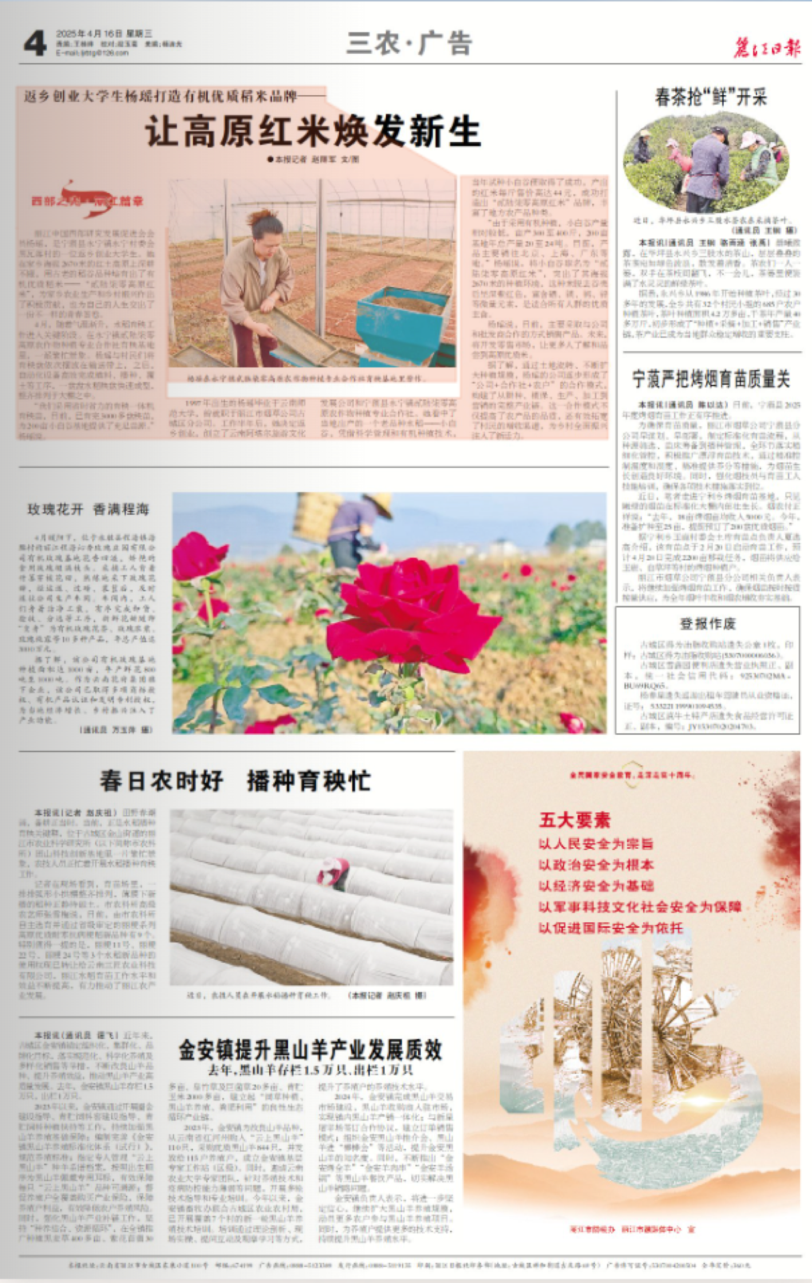 让高原红米焕发新生