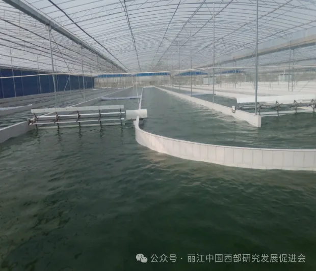 丽江程海保尔生物开发有限公司原文配图