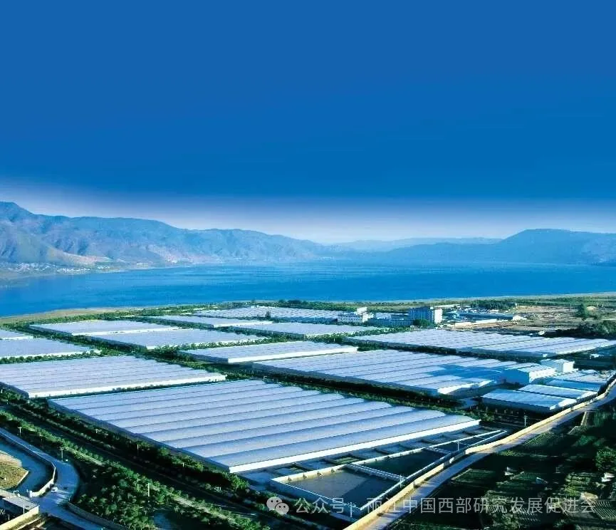 丽江程海保尔生物开发有限公司原文配图