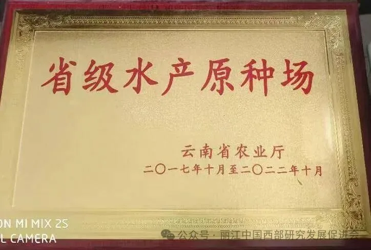 永胜创意工贸有限公司原文配图