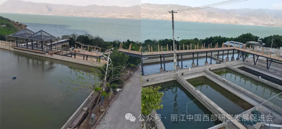 永胜创意工贸有限公司原文配图