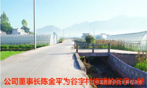 丽江金点子广告有限公司原文配图