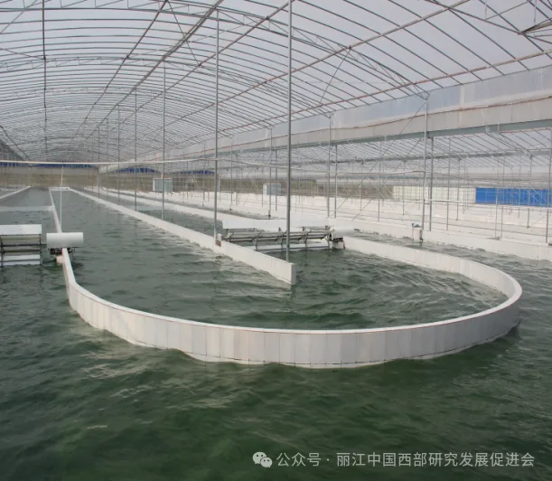 丽江程海保尔生物开发有限公司原文配图