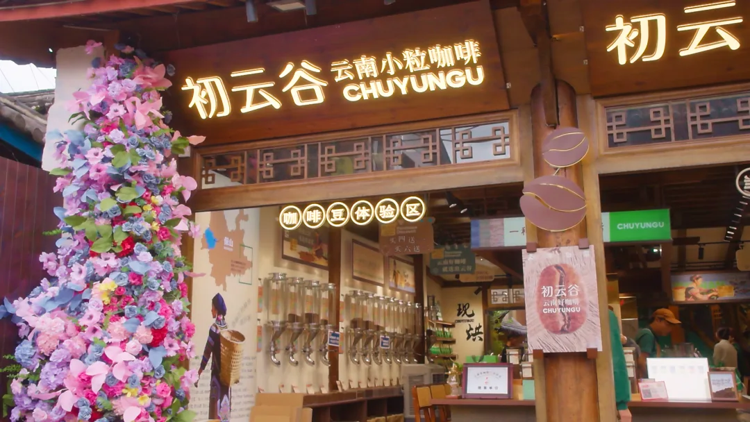 初云谷:用一杯云南小粒咖啡,串联着滇南山野和纳西风情原文配图