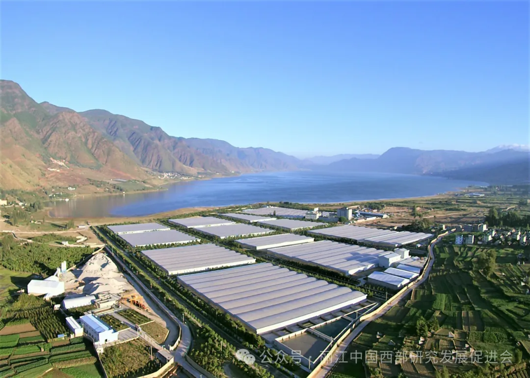 丽江程海保尔生物开发有限公司原文配图