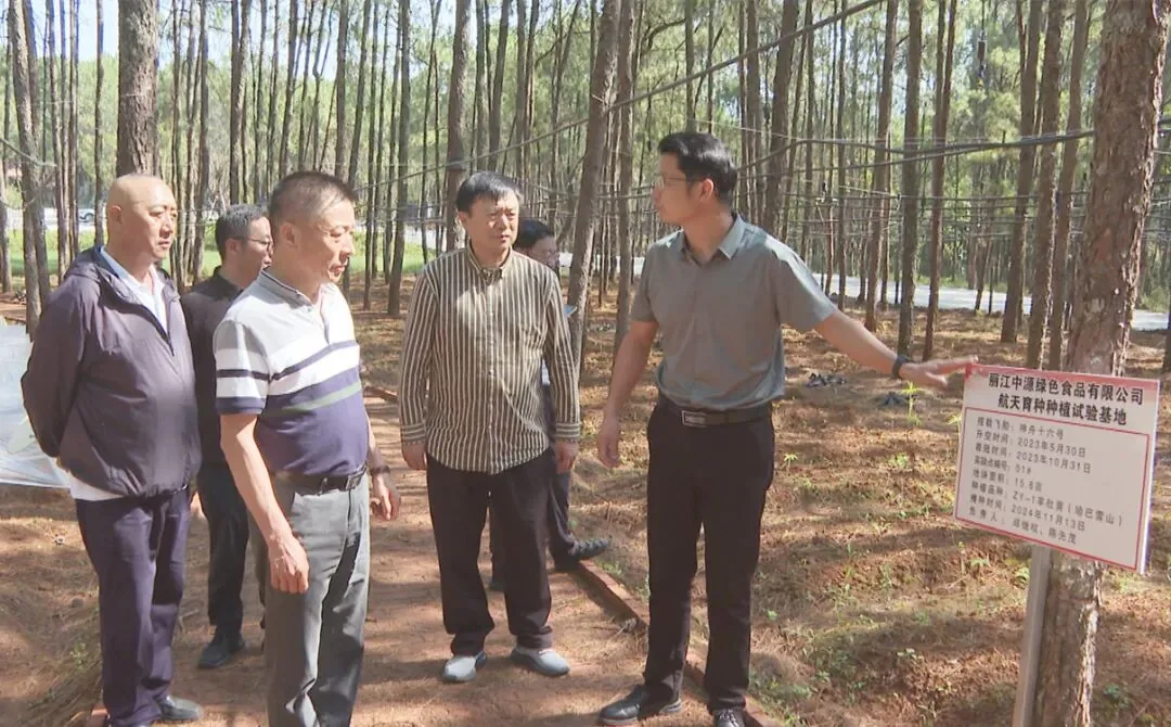 近日,丽江中源绿色食品有限公司相关负责人向双拥(云南)投资集团有限公司一行介绍基地发展情况。(丽江融媒记者 赵丽军 摄)