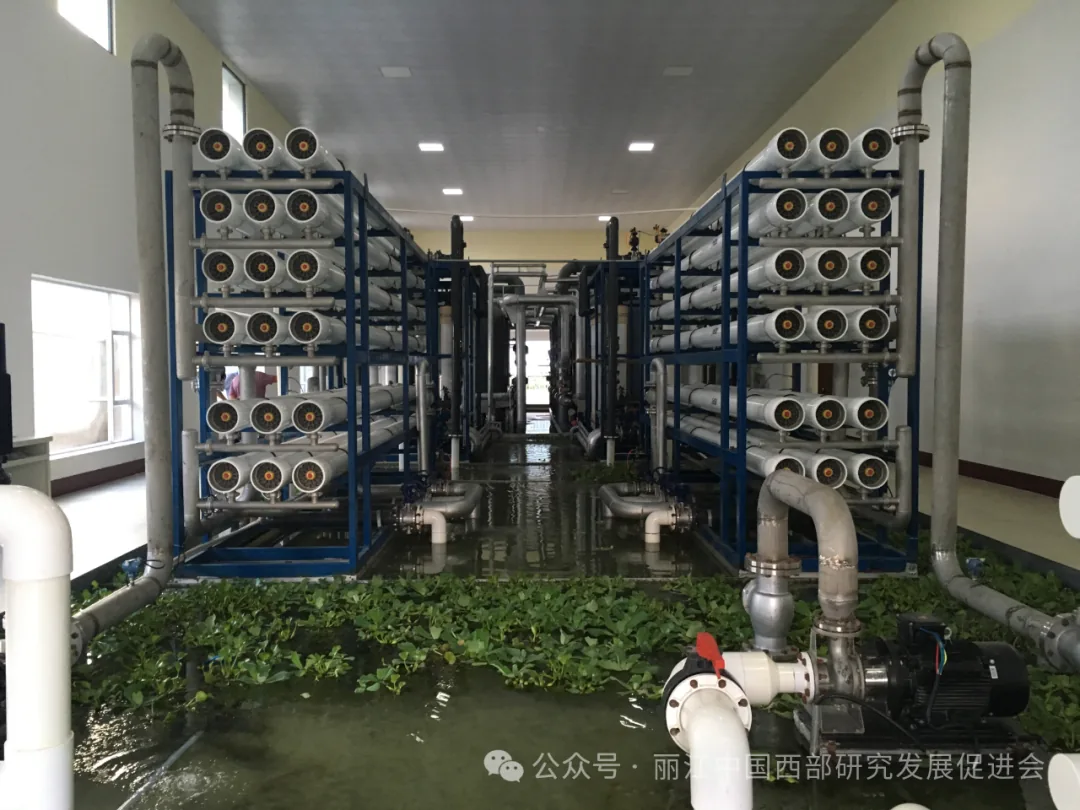 丽江程海保尔生物开发有限公司原文配图