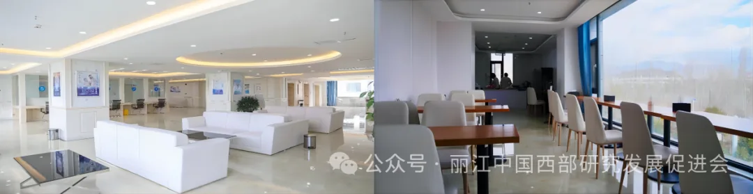 美舜大健康管理集团原文配图